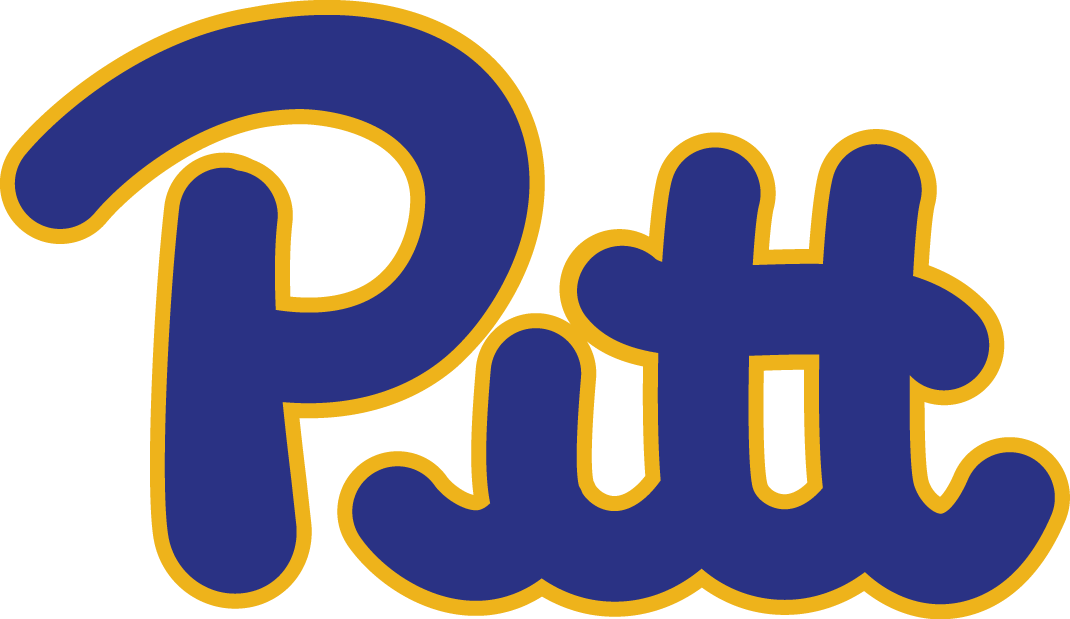 Pittsburgh Panthers 1973-1996 Wordmark Logo v2 iron on transfers for clothing